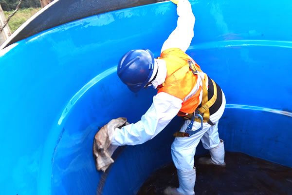 Higienização Profissional